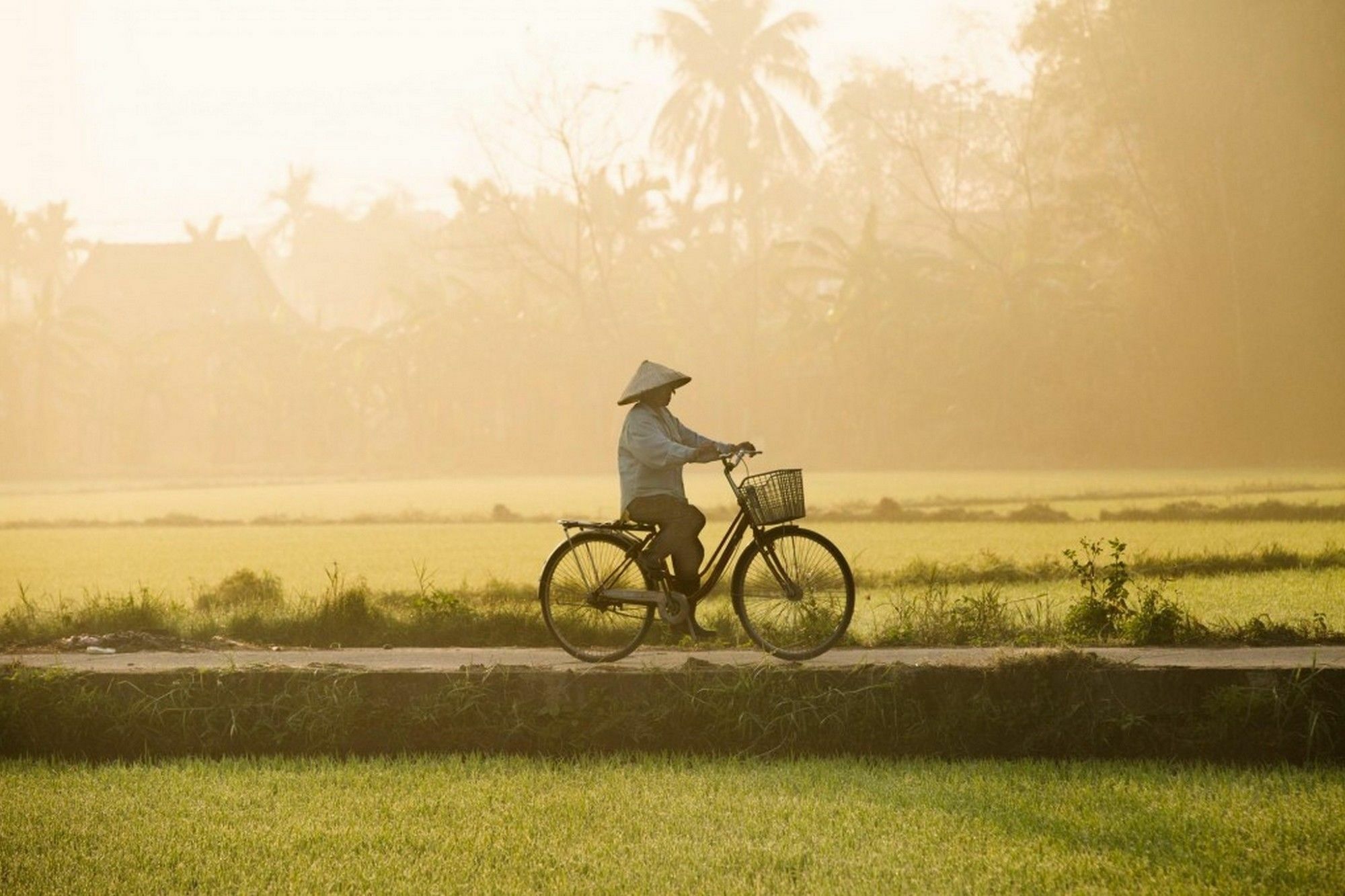 Hop Y Hoi An Homestay Exterior photo